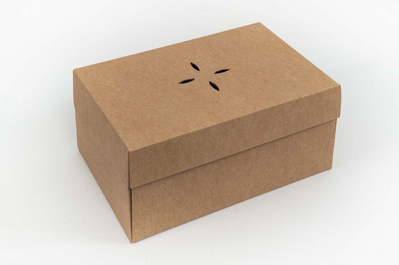 Caixa de Hamb�rguer Cart�o KRAFT 260 X165 X108 MM Pack 50 Unidades