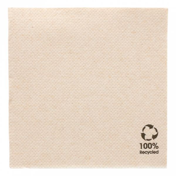 GUARDANAPOS ECOLABEL DOUBLE POINT 19 G/M2 20x20 CM NATURAL TISSUE RECICLADO