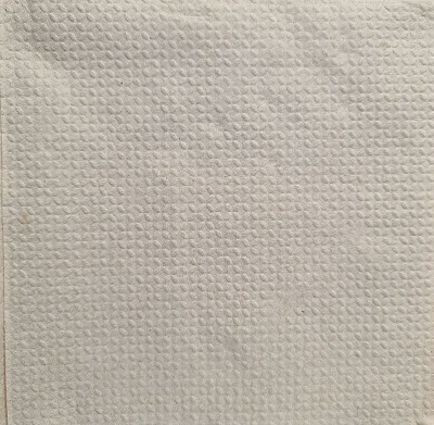 Guardanapo Natural 33x33 Folha Simples Cx 30 M��os