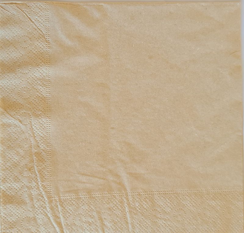 Guardanapos de Papel com 2 Folhas Celulosa Ecol�gica Kraft de 33x33cm.