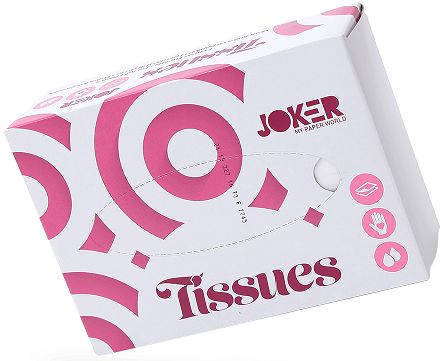 Len�os Faciais Pasta 2 Fls Pequenos 70 Folhas 